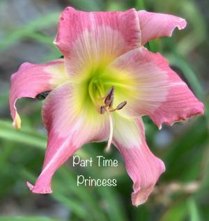 Part-time Princess
