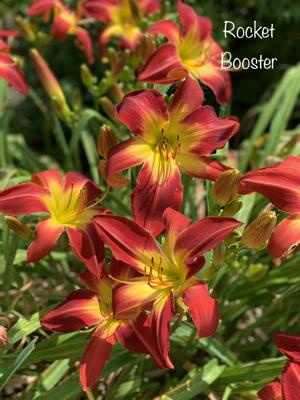 Rocket Booster