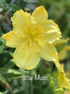 Solar Music