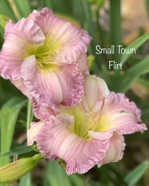 Small Town Flirt
